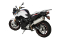 Preview: BMW F 800 R, model years 2009–2016, Oval 120 slip-on